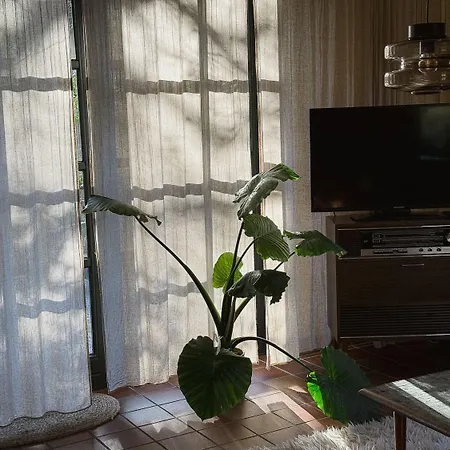 Classy - Casa de Férias *